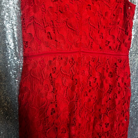 ANN TAYLOR WOMEN Red Lace Dress Size 18 - Picture 9 of 11